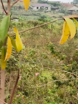 Land for Sale - Namugongo, Nkonzi Estate