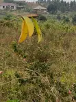 Land for Sale - Namugongo, Nkonzi Estate - 2