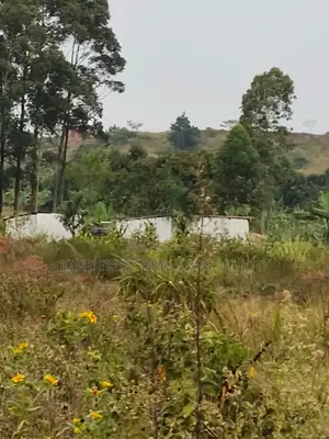 Prime Plots for Sale - Mbalala, Mukono