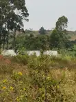 Prime Plots for Sale - Mbalala, Mukono - 1