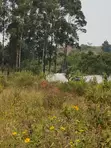Prime Plots for Sale - Mbalala, Mukono - 2