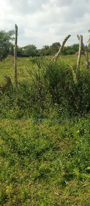 200 Acres Agricultural Land for Sale in Kalagala, Nakaseke