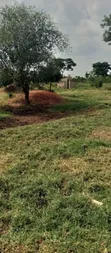 200 Acres Agricultural Land for Sale in Kalagala, Nakaseke - 2