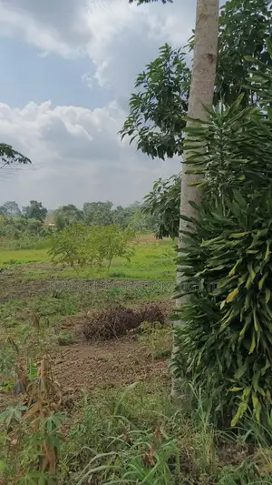 70 Acres Farmland for Sale - Nyakisharara, Mbarara-Ibanda Road