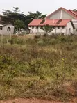 Plots for Sale - Wakiso Nkoowe, Bulababakulu - 1