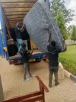 Halcyon Movers: House Moving & Packing Services - 1
