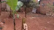 Plot for Sale 27x40ft in Bujjuko, Nansana - 1