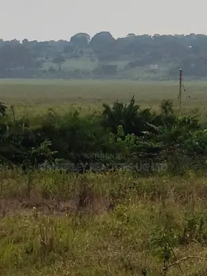 Land for Sale - Wakiso Nampunge Extension Estate
