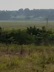 Land for Sale - Wakiso Nampunge Extension Estate - 1