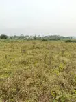 Land for Sale - Seeta (Namugongo Road) - 1