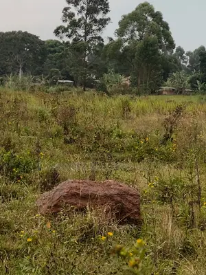 Farmland for Sale - Bugoma Kitwe, Bugerere