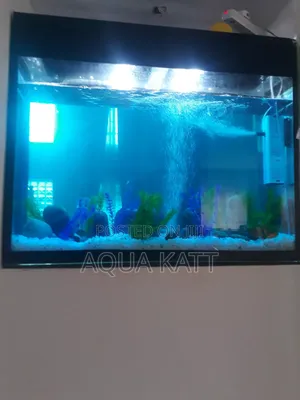 Aquarium with Filter, Light, and Goldfish