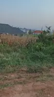 Land for Sale - 7 Acres, Namulanda (Entebbe Road) - 2