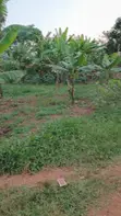 Land for Sale - Entebbe Kawuku - 1