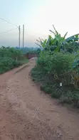 Land for Sale - Gayaza Kabubu Residential Estate - 2