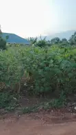 Land for Sale - Gayaza Kabubu Residential Estate - 5