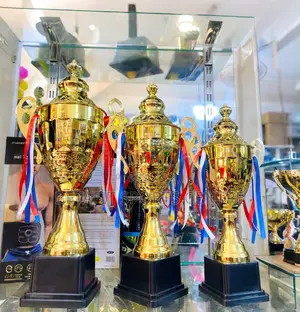 Brand New Gold Champion Trophy Cup