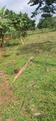 Land for Sale in Banda, Bukaata - 1