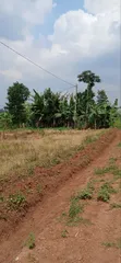 Land for Sale in Banda, Bukaata - 2