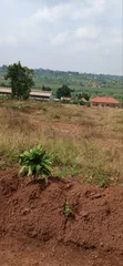 Land for Sale in Banda, Bukaata - 3