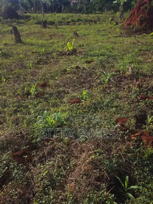 30 Acres Farmland for Sale in Nkokonjeru