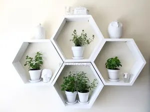 Modern Hexagonal Flower Shelves - 4 Tier