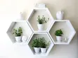 Modern Hexagonal Flower Shelves - 4 Tier - 1