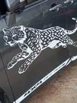 Denis Car Tints and Stickers - 2