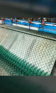 Original Green Coated Gabions - 2