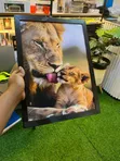 Wall Framed Art - Multicolor - 5