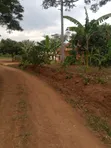 Land for Sale in Nakifuma, Nabaale - 2