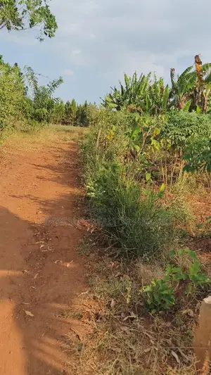 Land for Sale - Gayaza–Kalagyi Road, Namalili
