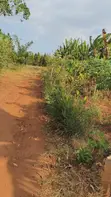 Land for Sale - Gayaza–Kalagyi Road, Namalili - 1
