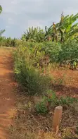 Land for Sale - Gayaza–Kalagyi Road, Namalili - 2