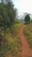 Land for Sale - Gayaza–Kalagyi Road, Namalili - 4