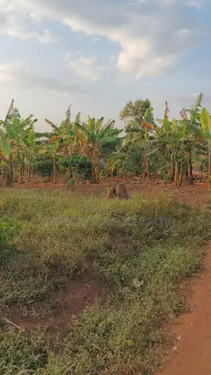 Land for Sale - Gayaza-Kalagi Road, Namalili