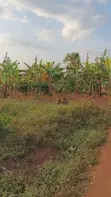 Land for Sale - Gayaza-Kalagi Road, Namalili - 1