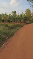 Land for Sale - Gayaza-Kalagi Road, Namalili - 3