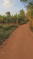 Land for Sale - Gayaza-Kalagi Road, Namalili - 4