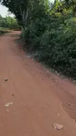 Land for Sale - Gayaza-Kalagi Road, Namalili - 5