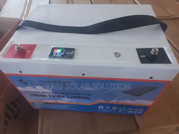Lithium Iron Phosphate Battery 100Ah - 1