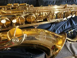 Tenor Saxophone - USA Flamingo