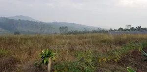 50x100ft Titled Plot for Sale in Bulamu