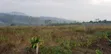 50x100ft Titled Plot for Sale in Bulamu - 1