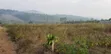 50x100ft Titled Plot for Sale in Bulamu - 3