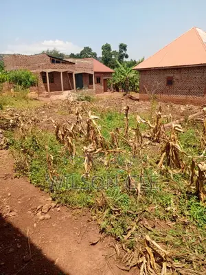 Residential Land for Sale in Musima Cell, Jinja
