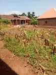Residential Land for Sale in Musima Cell, Jinja - 1