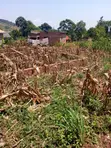 Residential Land for Sale in Musima Cell, Jinja - 3