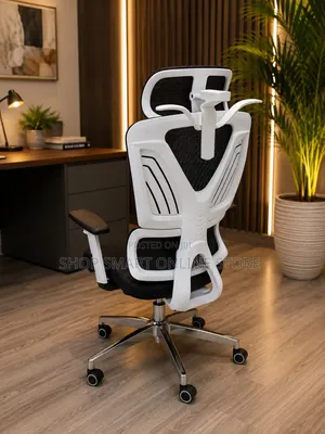 Brand New Executive Ergonomic Office Chair with Back Support