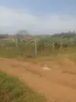 Titled Plot 50x100ft at Gayaza Namayina Near St. Juliana S.S - 3